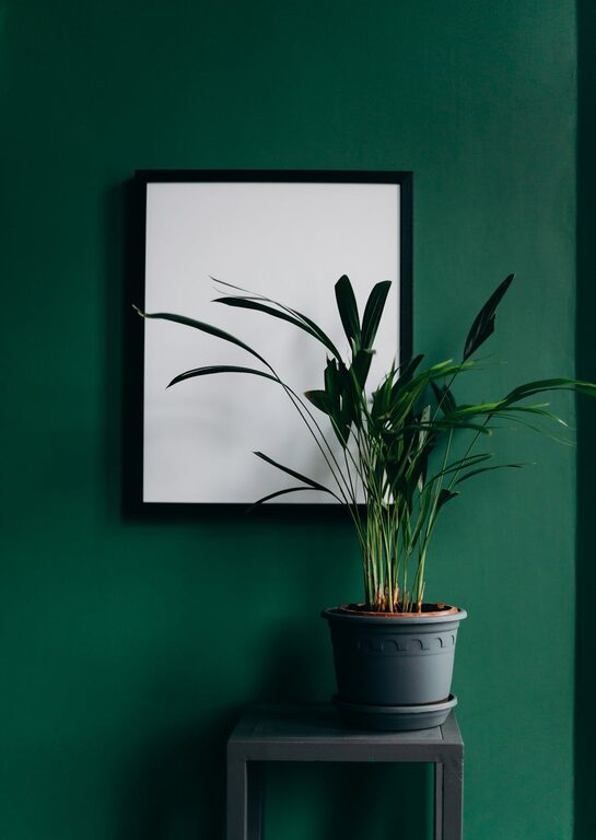 How to Refresh Your Home with Plants: Easy Tips for a Green Makeover